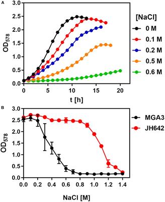 Enhanced Glutamate Synthesis and Export by the Thermotolerant Emerging Industrial Workhorse Bacillus methanolicus in Response to High Osmolarity